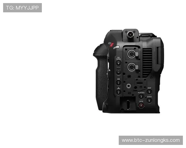 探秘z6尊龙官方旗舰店，最新潮流单品一网打尽